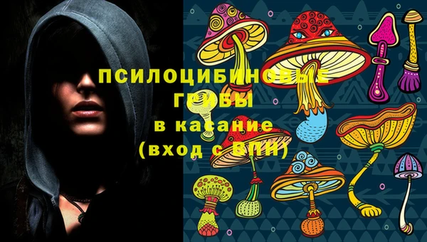 индика Аркадак
