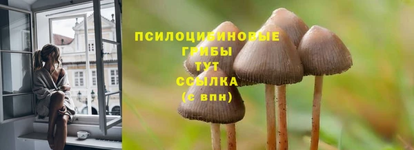 индика Аркадак