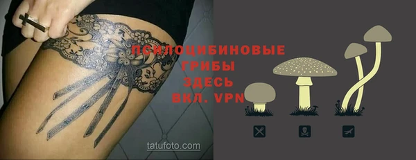 стаф Арсеньев