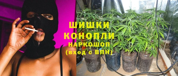 индика Аркадак
