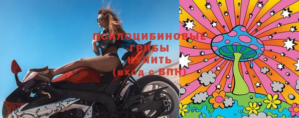 прущая мука Армянск