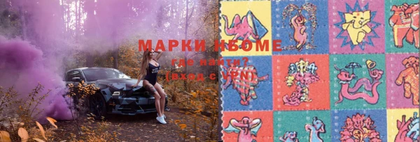 индика Аркадак
