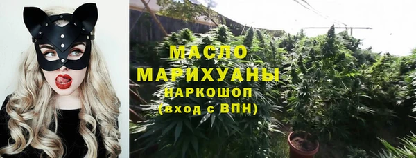ГАЛЛЮЦИНОГЕННЫЕ ГРИБЫ Богданович