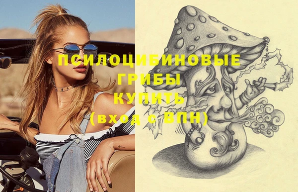 дурь Богородицк