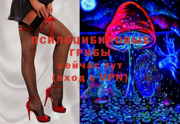 дурь Богородицк