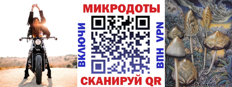 Псилоцибиновые грибы GOLDEN TEACHER  купить   Козьмодемьянск 