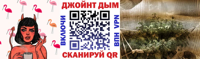 Шишки марихуана SATIVA & INDICA  магазин продажи наркотиков  hydra ТОР  Козьмодемьянск 